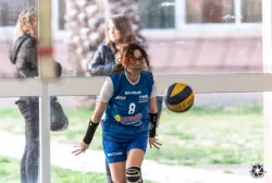 dsc7960.webp