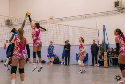 dsc8008.webp