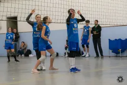 dsc8011.webp