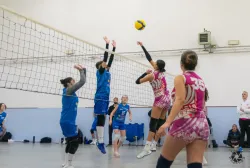 dsc8016.webp