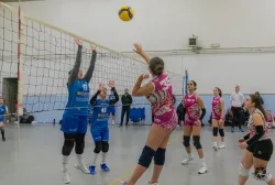 dsc8027.webp