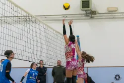 dsc8033.webp