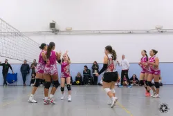 dsc8048.webp