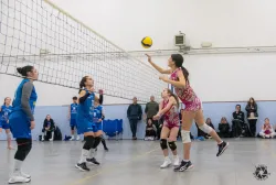 dsc8051.webp