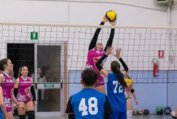 dsc8063.webp