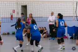 dsc8065.webp