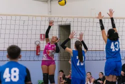 dsc8067.webp
