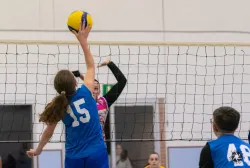 dsc8075.webp