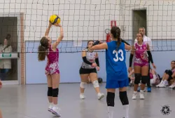 dsc8100.webp