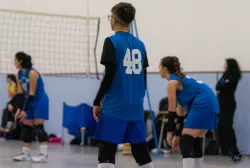dsc8115.webp
