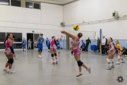 dsc8130.webp
