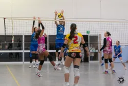dsc8131.webp