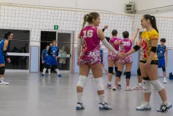 dsc8134.webp