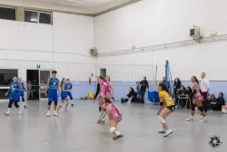 dsc8135.webp