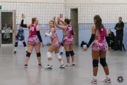 dsc8144.webp