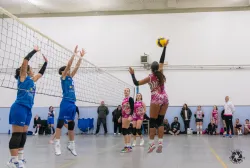 dsc8163.webp