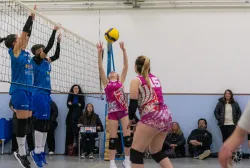 dsc8176.webp