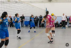 dsc8179.webp
