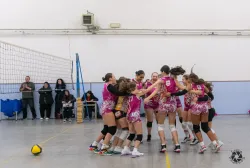 dsc8185.webp