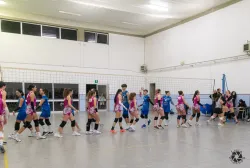 dsc8196.webp