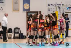 dsc8937.webp