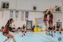 dsc8948.webp