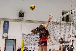 dsc8956.webp