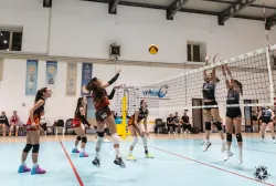 dsc8973.webp