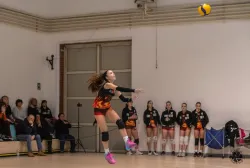 dsc8977.webp