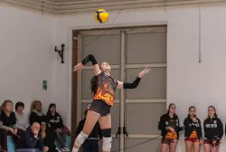 dsc8982.webp