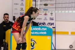 dsc8986.webp