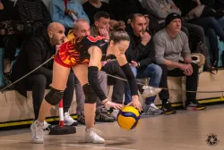 dsc8995.webp
