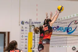 dsc9012.webp