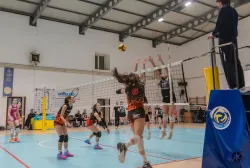 dsc9039.webp