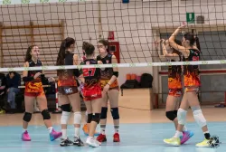 dsc9048.webp