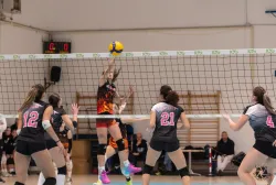 dsc9054.webp