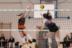 dsc9062.webp