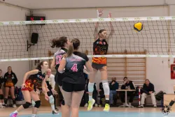 dsc9063.webp