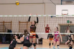 dsc9070.webp