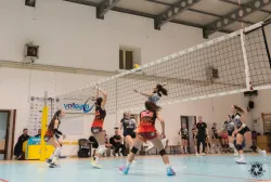 dsc9126.webp