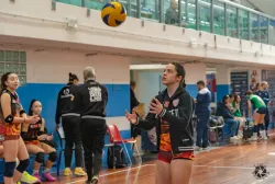 dsc9702.webp