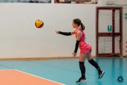 dsc9474.webp