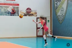 dsc9492.webp