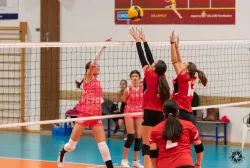 dsc9513.webp