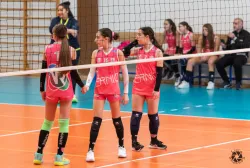 dsc9522.webp