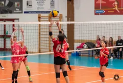 dsc9523.webp