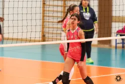 dsc9543.webp