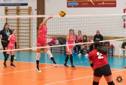 dsc9545.webp