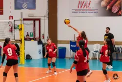 snapedit_1739179425095.webp
