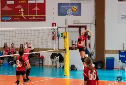 snapedit_1739179474594.webp